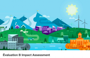 Image B Impact Assessment-B Corp